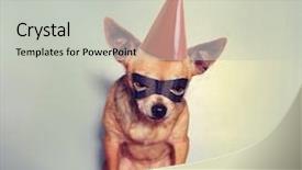  Presentation with mask - Colorful PPT theme enhanced with one leg seated forward backdrop and a violet colored foreground.