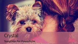  Presentation with vintage antique retro terrestrial globe - Slide deck enhanced with best friends - cute yorkshire terrier peeking background and a coral colored foreground