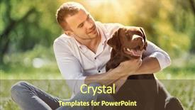  Presentation with walk - Presentation design having best friends - young guy with retriever background and a tawny brown colored foreground