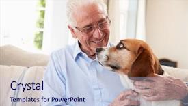  Presentation with beagle dog - Colorful presentation theme enhanced with best ones - senior man sitting on sofa backdrop and a lemonade colored foreground