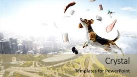  Presentation with funny - Colorful PPT theme enhanced with furry friends - funny dog friend mixed media backdrop and a coral colored foreground