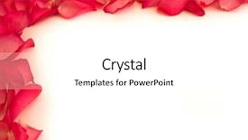  Presentation with white rose - Amazing PPT theme having best wishes - rose petals on white background backdrop and a white colored foreground