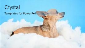  Presentation with blue sky - Theme featuring  background and a  colored foreground