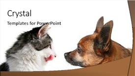  Presentation with kitten - Audience pleasing presentation design consisting of cat dog adopt animals - side view of a chihuahua backdrop and a white colored foreground