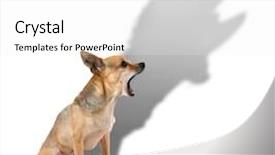  Presentation with shadow of a caravan - Amazing presentation design having mans best friend - tiny chihuahua with a large backdrop and a white colored foreground