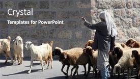  Presentation with shepherd sheep - Amazing PPT theme having bethlehem-shepherds-field-october-05 backdrop and a dark gray colored foreground