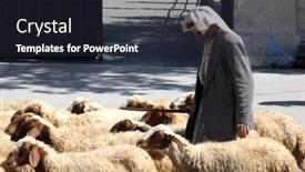  Presentation with shepherd sheep - Colorful PPT layouts enhanced with bethlehem-shepherds-field-october-05 backdrop and a wine colored foreground