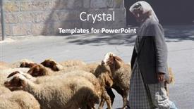  Presentation with shepherd sheep - Colorful slides enhanced with bethlehem-shepherds-field-ostober-05 backdrop and a gray colored foreground