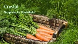  Presentation with carrots - Cool new presentation theme with beto carrero - freshly picked carrots backdrop and a tawny brown colored foreground