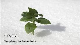  Presentation with green industries plant - Cool new presentation with beutiful life - green plant growing backdrop and a light gray colored foreground