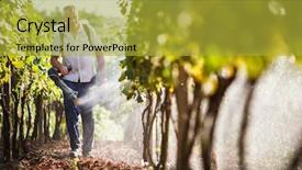  Presentation with chemicals - Theme enhanced with beverage crops - vintner walking in his vineyard background and a yellow colored foreground