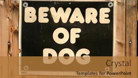  Presentation with dog - PPT theme featuring beware of dog sign background and a gold colored foreground