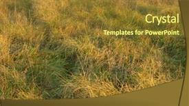  Presentation with weeds - Presentation theme featuring bg - image of dry weeds background and a  colored foreground