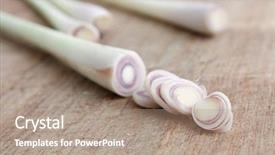  Presentation with lemon grass - Colorful presentation theme enhanced with bg - lemon grass isolated backdrop and a coral colored foreground