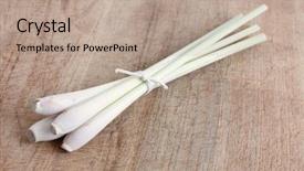  Presentation with lemon grass - Amazing presentation theme having bg - lemon grass isolated backdrop and a coral colored foreground