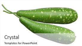  Presentation with color - Amazing PPT theme having bi color calabash lagenaria vulgaris backdrop and a white colored foreground