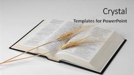  Presentation with wheat - Slides consisting of bible and wheat on neutral background and a light gray colored foreground