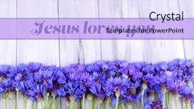  Presentation with jesus loves - Audience pleasing presentation consisting of bible flowers - beautiful cornflowers and text jesus backdrop and a light blue colored foreground