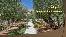  Presentation with gethsemane - Presentation design with bible isarel - olive trees in famous gardens background and a tawny brown colored foreground
