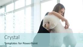  Presentation with grooming dog - Slide set consisting of bichon-fries-at-a-dog background and a sky blue colored foreground