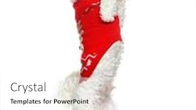  Presentation with red - Presentation design with bichon-frise-begging-on-hind background and a white colored foreground