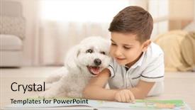  Presentation with reading - Audience pleasing presentation consisting of bichon frise dog reading backdrop and a soft green colored foreground