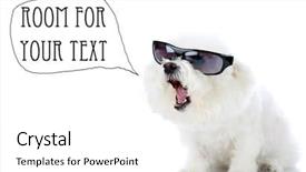  Presentation with 2018 goals text on white - Presentation theme enhanced with bichon frise wears her sunglasses background and a white colored foreground