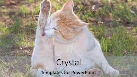  Presentation with rough - Slide deck with bicolor background - rough looking white and ginger background and a light gray colored foreground