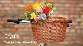  Presentation with blurred flowers - Amazing slide deck having bicycle with beautiful basket of flowers on blurred background backdrop and a coral colored foreground