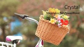 Presentation with blurred flowers - Colorful slide set enhanced with bicycle with beautiful basket of flowers on blurred background backdrop and a coral colored foreground