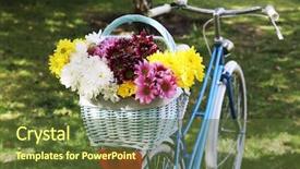  Presentation with bicycle - PPT theme with bicycle with flowers in metal basket closeup background and a tawny brown colored foreground