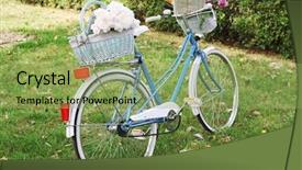  Presentation with bicycle - Audience pleasing slides consisting of bicycle with flowers in metal basket on park background backdrop and a yellow colored foreground