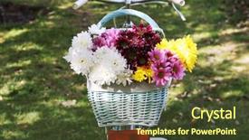  Presentation with shadow - Slide set with bicycle with flowers in metal basket in shadow on grass background background and a tawny brown colored foreground