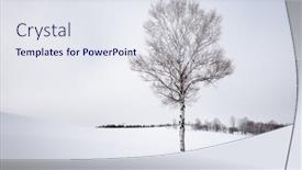  Presentation with japan - Audience pleasing slide set consisting of biei-japan-in-winter backdrop and a sky blue colored foreground