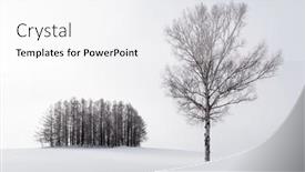  Presentation with japan - Presentation design featuring biei-japan-in-winter background and a white colored foreground