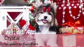  Presentation with islamic decorations decoration and motif - Slides featuring biewer york terrier and christmas background and a coral colored foreground