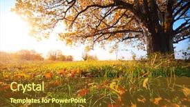  Presentation with grass meadow friendship youth - Slide deck featuring big autumn oak and green background and a tawny brown colored foreground