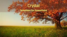  Presentation with grass meadow friendship youth - Colorful theme enhanced with big autumn oak and green backdrop and a tawny brown colored foreground