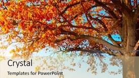  Presentation with autumn blue - Audience pleasing slide set consisting of big autumn oak with red backdrop and a lemonade colored foreground