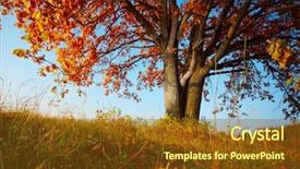 Presentation with autumn blue - Amazing PPT layouts having big autumn oak with red backdrop and a tawny brown colored foreground