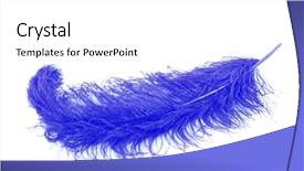  Presentation with feather pen ink - PPT layouts with big blue feather on white background and a white colored foreground