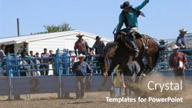  Presentation with buck - 