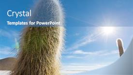  Presentation with cactus - Amazing PPT theme having big-cactus-on-incahuasi-island backdrop and a teal colored foreground