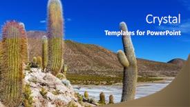  Presentation with cactus - PPT layouts having big-cactus-on-incahuasi-island background and a cobalt blue colored foreground
