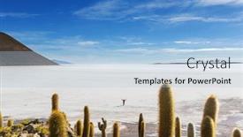  Presentation with flat - Slides featuring big-cactus-on-incahuasi-island background and a light blue colored foreground