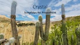  Presentation with salt - Audience pleasing slide deck consisting of big-cactus-on-incahuasi-island backdrop and a light blue colored foreground