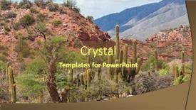  Presentation with solar - Colorful presentation design enhanced with big-cactus-on-incahuasi-island backdrop and a tawny brown colored foreground