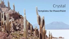  Presentation with flat - Beautiful slide deck featuring big-cactus-on-incahuasi-island backdrop and a light blue colored foreground