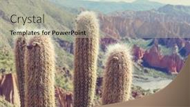  Presentation with flat - Audience pleasing presentation theme consisting of big-cactus-on-incahuasi-island backdrop and a mint green colored foreground