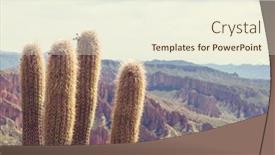  Presentation with flat - Presentation design with big-cactus-on-incahuasi-island background and a cream colored foreground